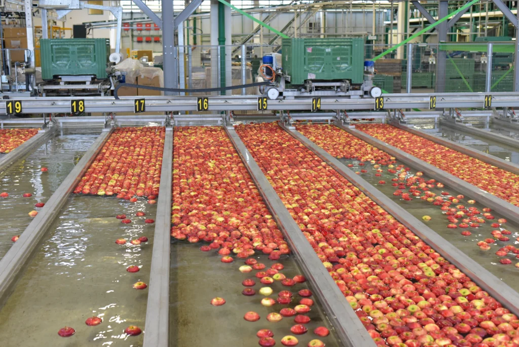 Pozzo per azienda agricola 2